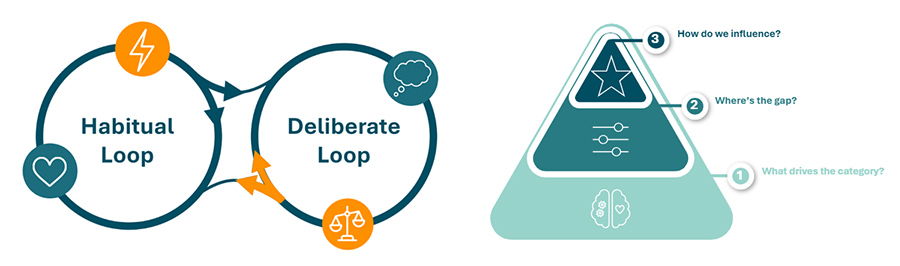 the Habitual-Deliberate Loop framework