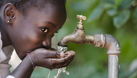 WWF and BCG explore how South Africa can reverse its water crisis