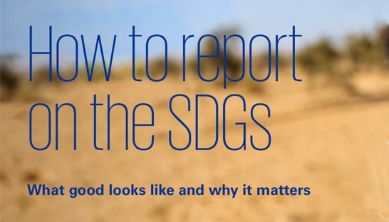Just 40% of global companies reporting on UN Sustainable Development Goals