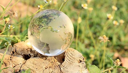 Favourable conditions in Africa expected to drive growth across the continent