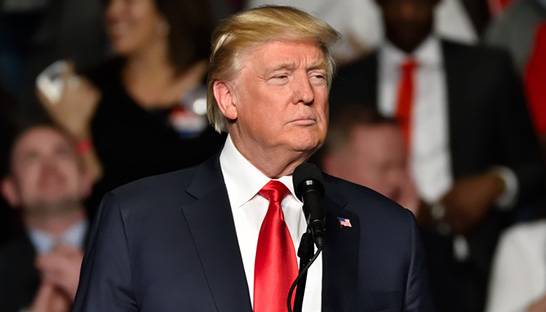 Quarter of Americans think Trump will leave office early