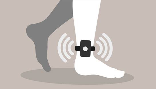 FRC fines Deloitte £4 million over Serco tagging scandal