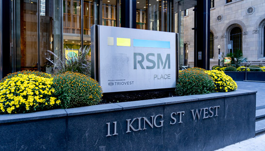 RSM Canada promotes 11 to partner