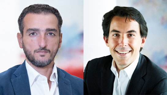 What every CEO should ask and do to drive sustainability