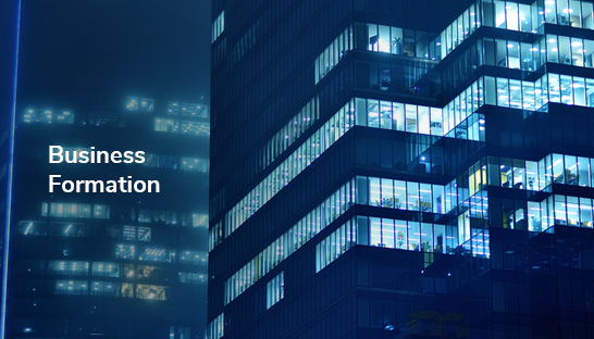 The growing role of specialized firms in international business formation