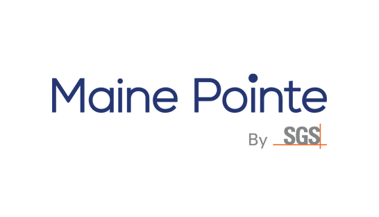 Consulting firm in the USA: Maine Pointe