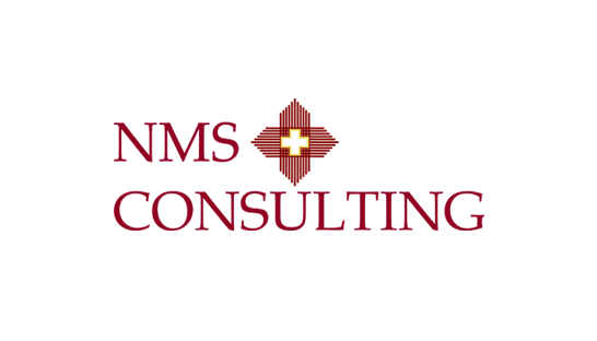 Consulting firm in the USA: NMS Consulting