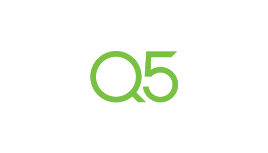 Consulting firm in the USA: Q5